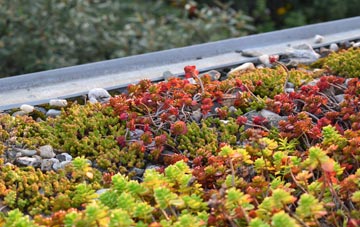 the cost of Balfield green roof installation