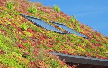 Balfield living roof systems